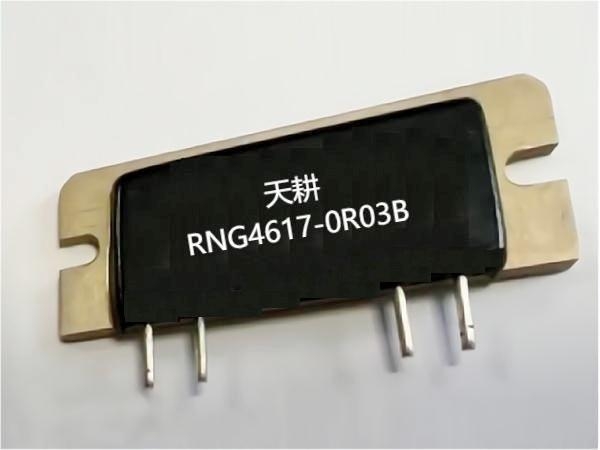 RNG4617